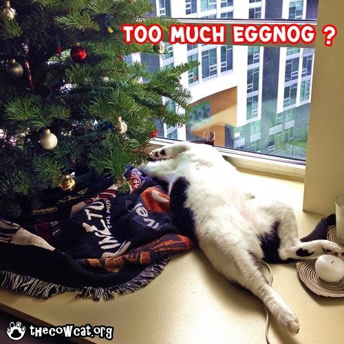 The Cow Cat had too much eggnog on holidays eCard