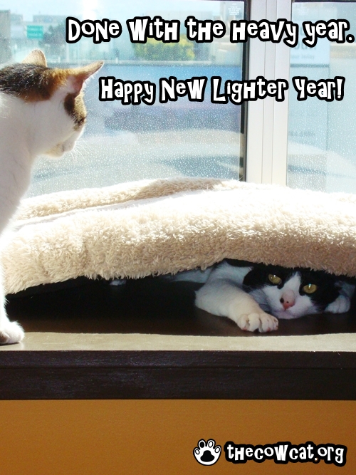 Lighter Year The Cow Cat New Year eCard on Post