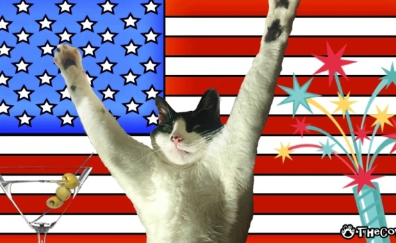 How To Celebrate The 4th of July With Your Cat | The Cow Cat fireworks and martini